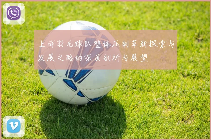 上海羽毛球队整体压制革新探索与发展之路的深度剖析与展望