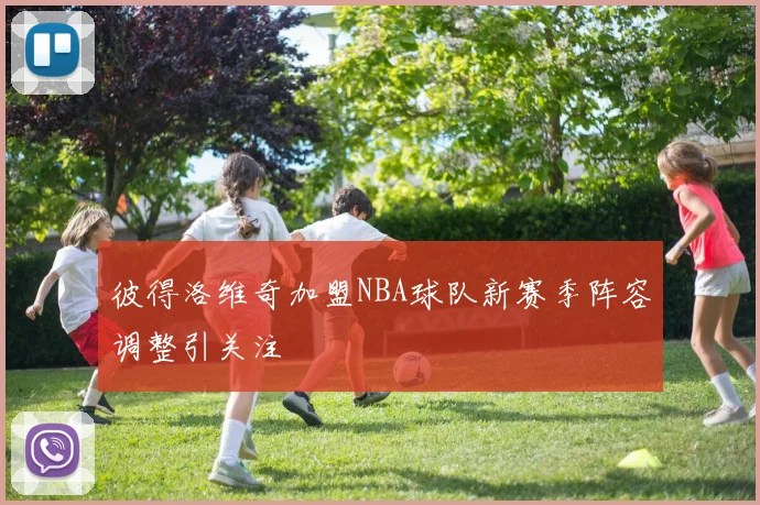 彼得洛维奇加盟NBA球队新赛季阵容调整引关注