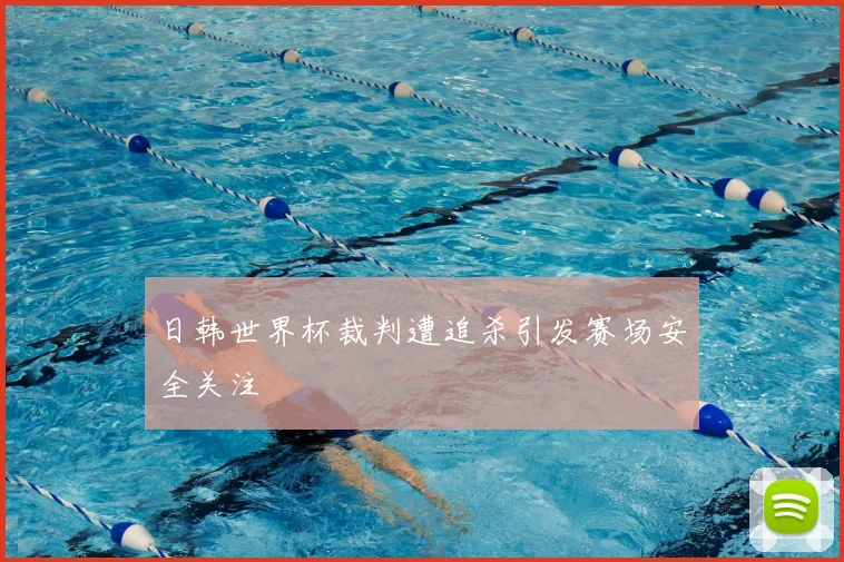 日韩世界杯裁判遭追杀引发赛场安全关注