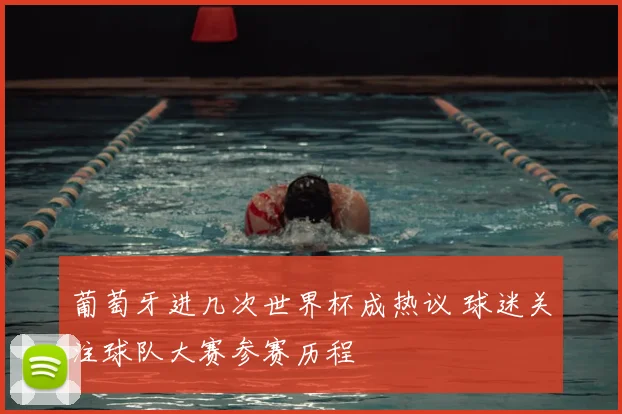 葡萄牙进几次世界杯成热议 球迷关注球队大赛参赛历程