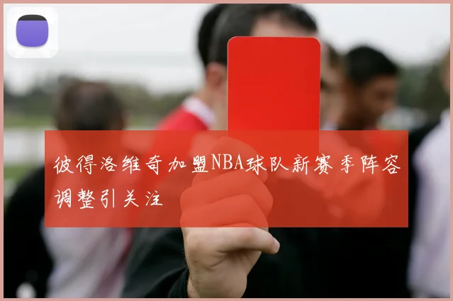 彼得洛维奇加盟NBA球队新赛季阵容调整引关注