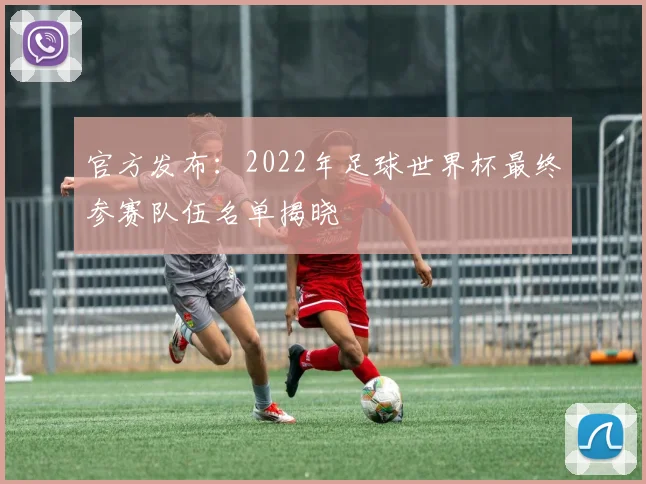 官方发布:2022年足球世界杯最终参赛队伍名单揭晓
