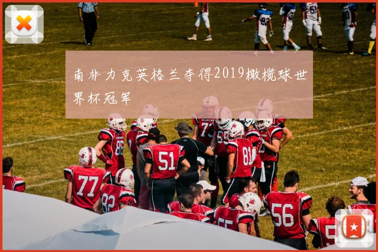 南非力克英格兰夺得2019橄榄球世界杯冠军