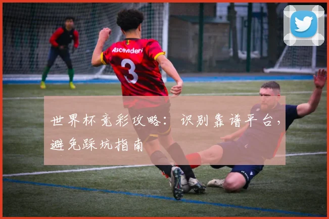 世界杯竞彩攻略：识别靠谱平台，避免踩坑指南