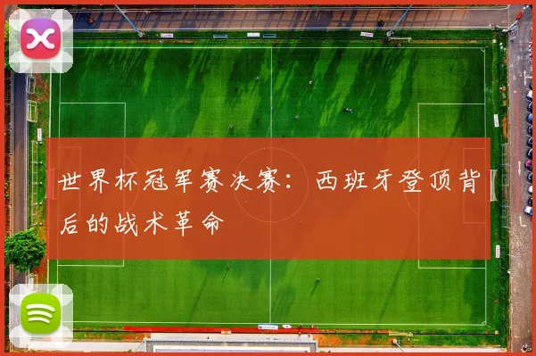 世界杯冠军赛决赛：西班牙登顶背后的战术革命