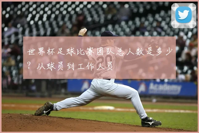世界杯足球比赛团队总人数是多少?从球员到工作人员