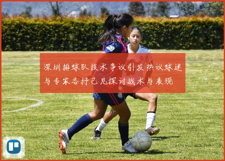 深圳排球队技术争议引发热议球迷与专家各抒己见探讨战术与表现