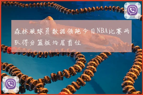 森林狼球员数据领跑今日NBA比赛两队得分篮板均居首位