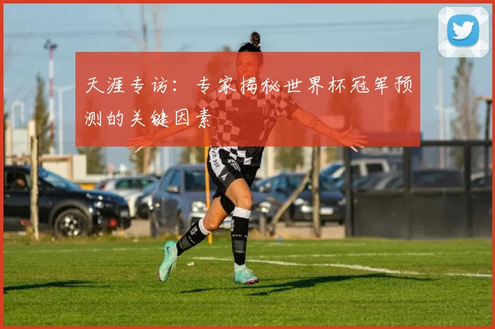 天涯专访:专家揭秘世界杯冠军预测的关键因素