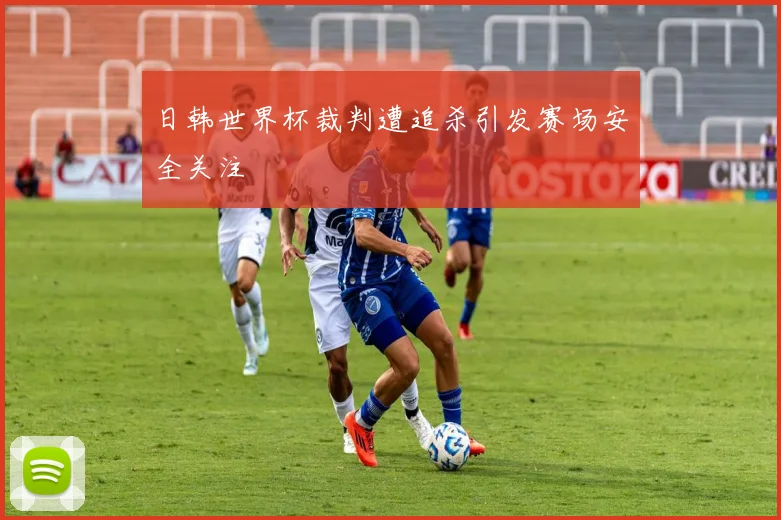 日韩世界杯裁判遭追杀引发赛场安全关注