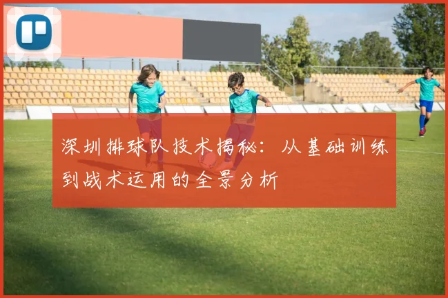 深圳排球队技术揭秘：从基础训练到战术运用的全景分析
