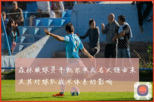 森林狼球员李凯尔中文名大锤由来及其对球队战术体系的影响