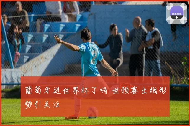 葡萄牙进世界杯了吗 世预赛出线形势引关注